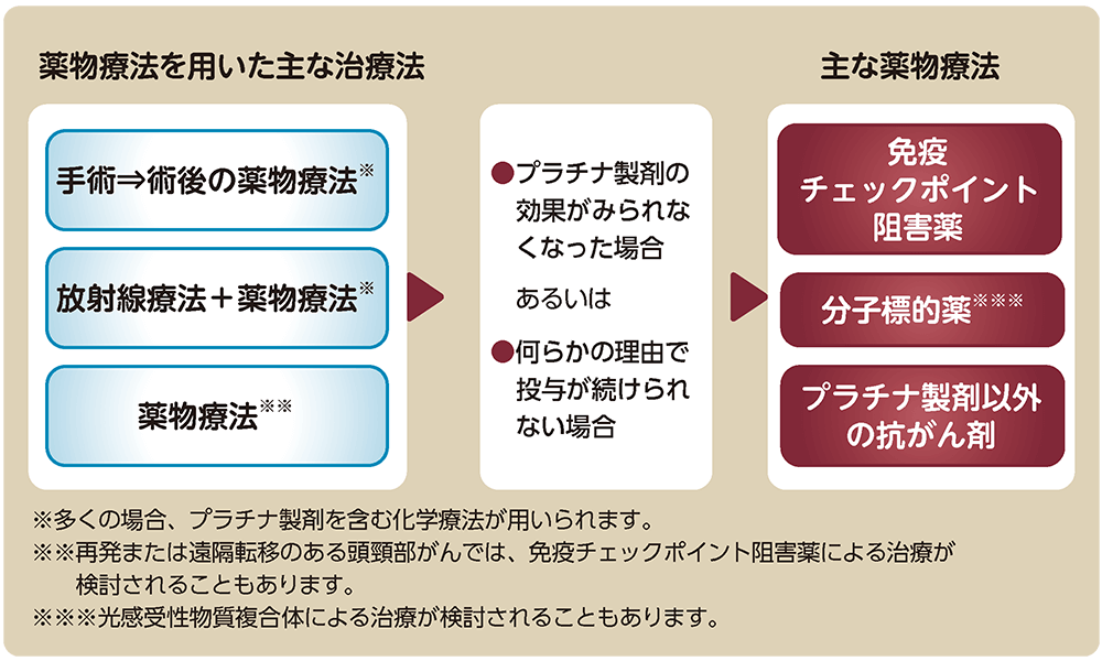 主な薬物療法と進め方