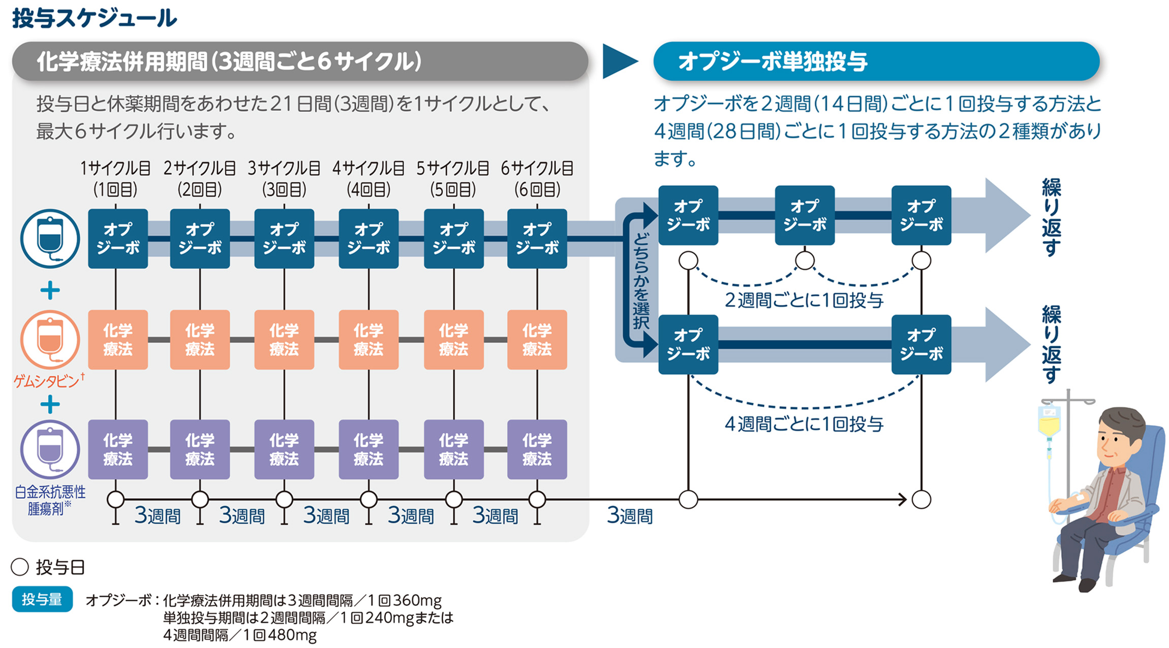 投与スケジュール