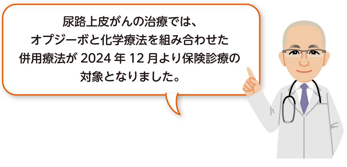 尿路上皮がんの治療では、オプジーボと化学療法を組み合わせた併用療法が2024年12月より保険診療の対象となりました。