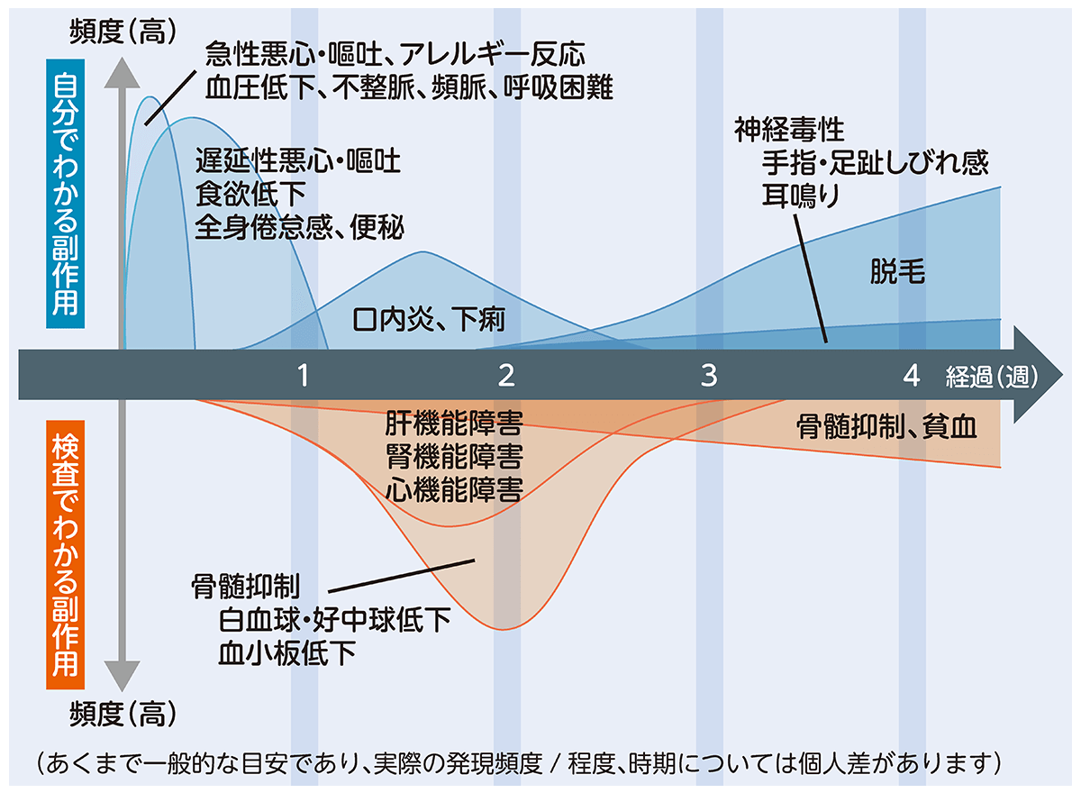 細胞障害性抗がん剤の主な副作用と出現時期の目安